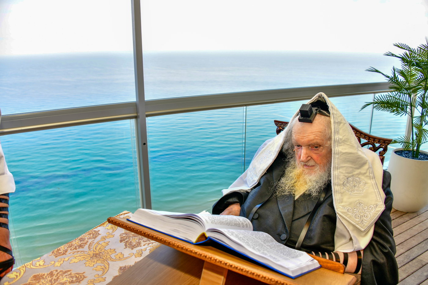 הגר"מ שטרנבוך בתפילת שחרית בנתניה