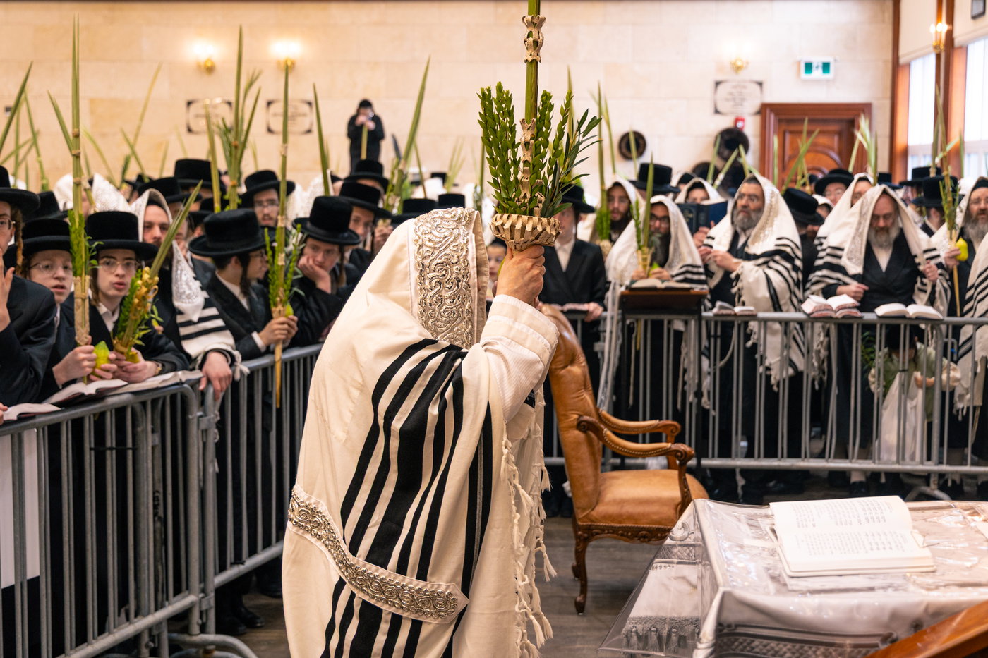 ירח האיתנים בחצה"ק טאהש