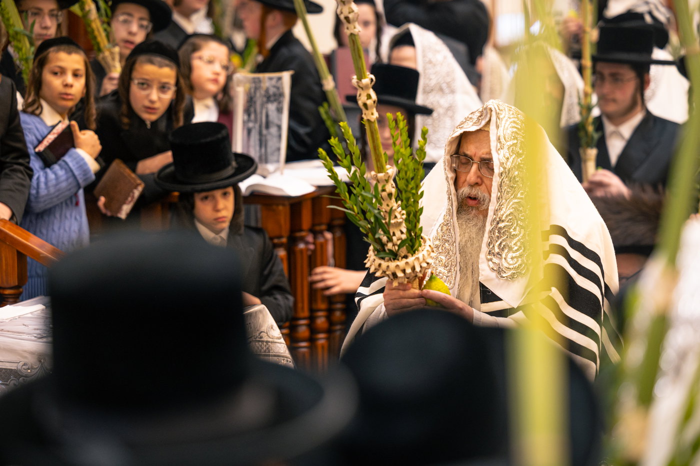ירח האיתנים בחצה"ק טאהש