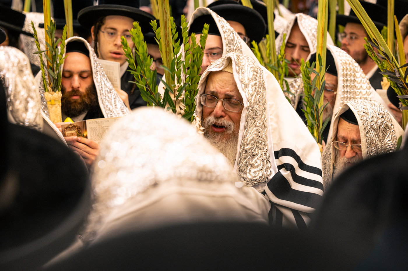 ירח האיתנים בחצה"ק טאהש