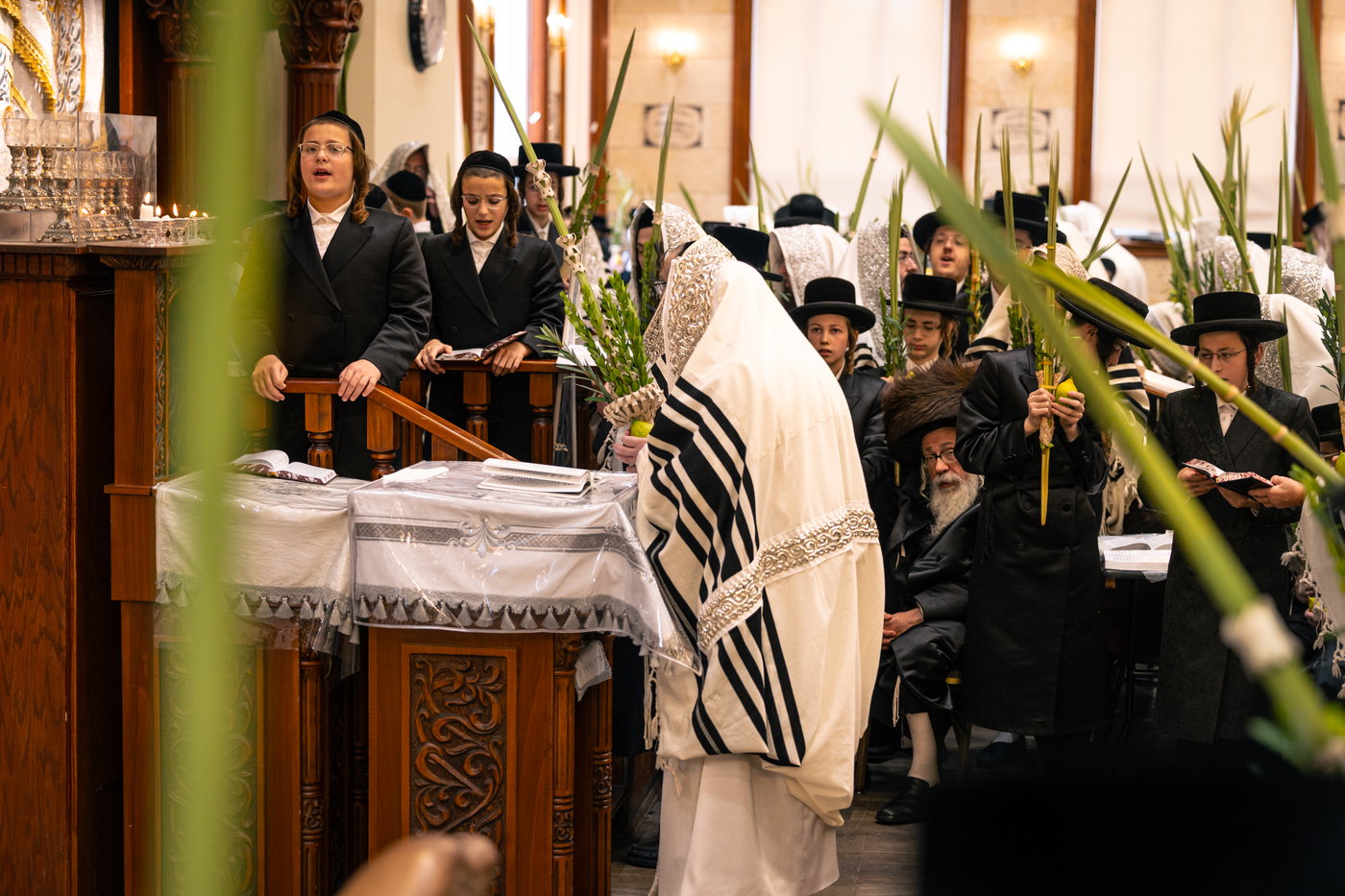 ירח האיתנים בחצה"ק טאהש