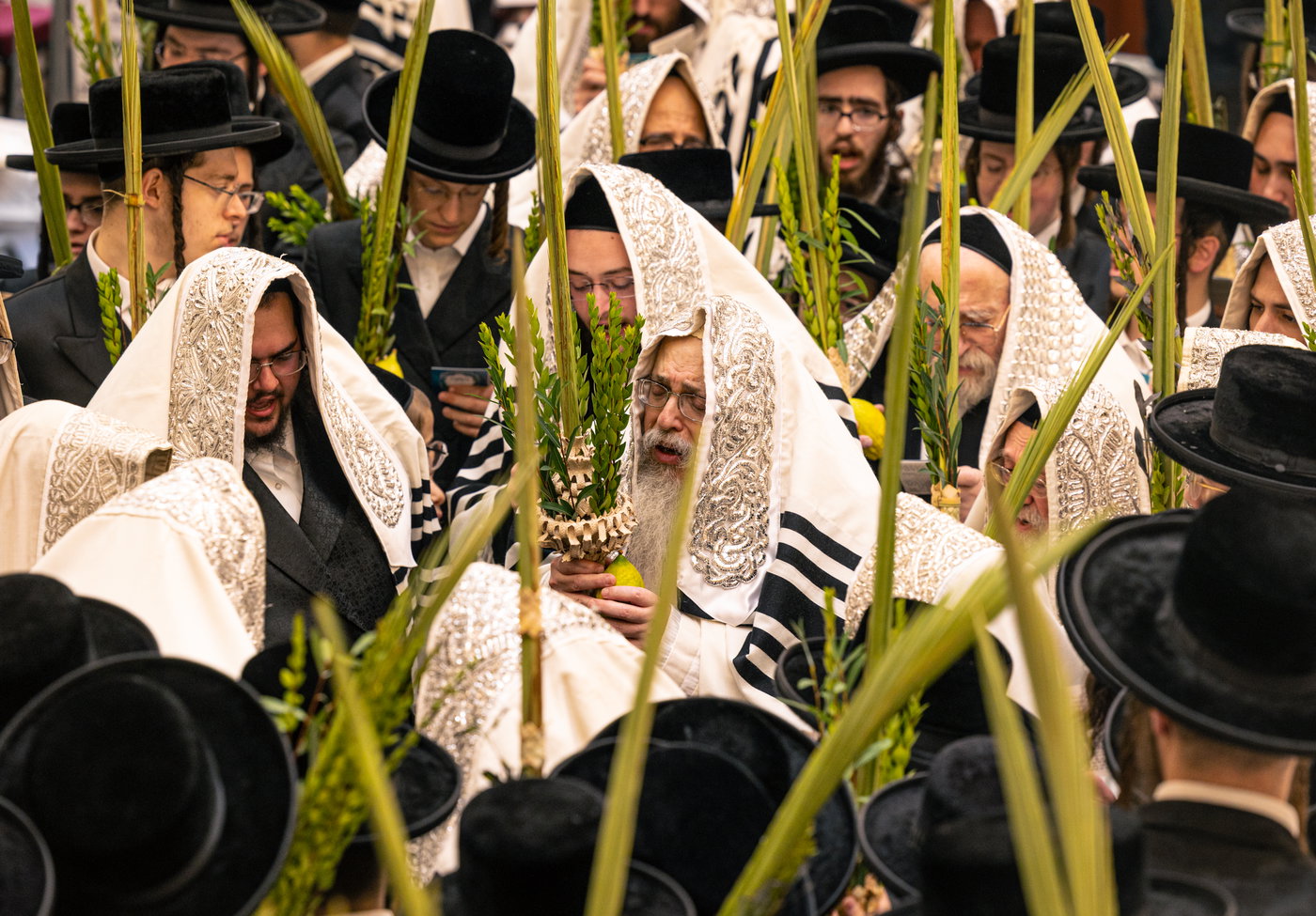 ירח האיתנים בחצה"ק טאהש