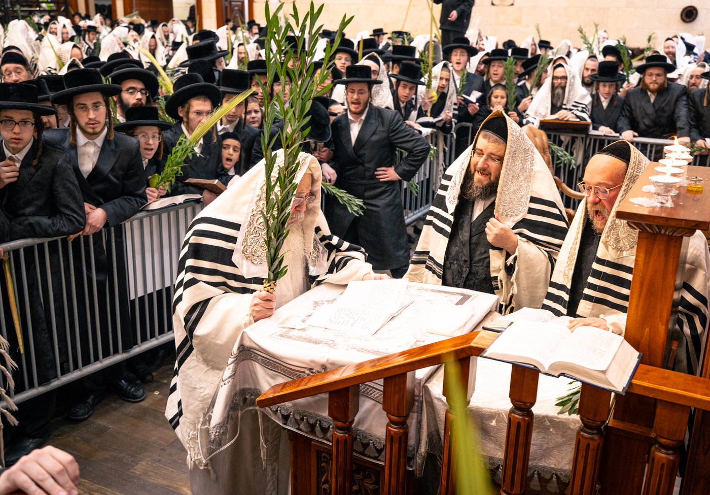 ירח האיתנים בחצה"ק טאהש