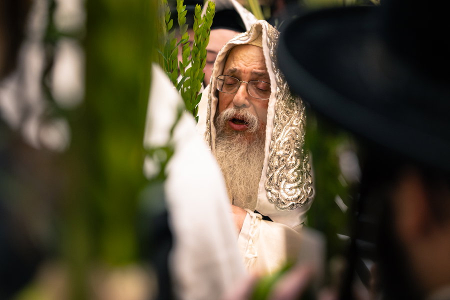 ירח האיתנים בחצה"ק טאהש