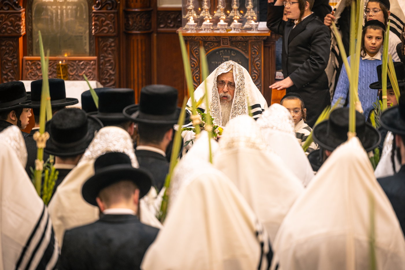 ירח האיתנים בחצה"ק טאהש