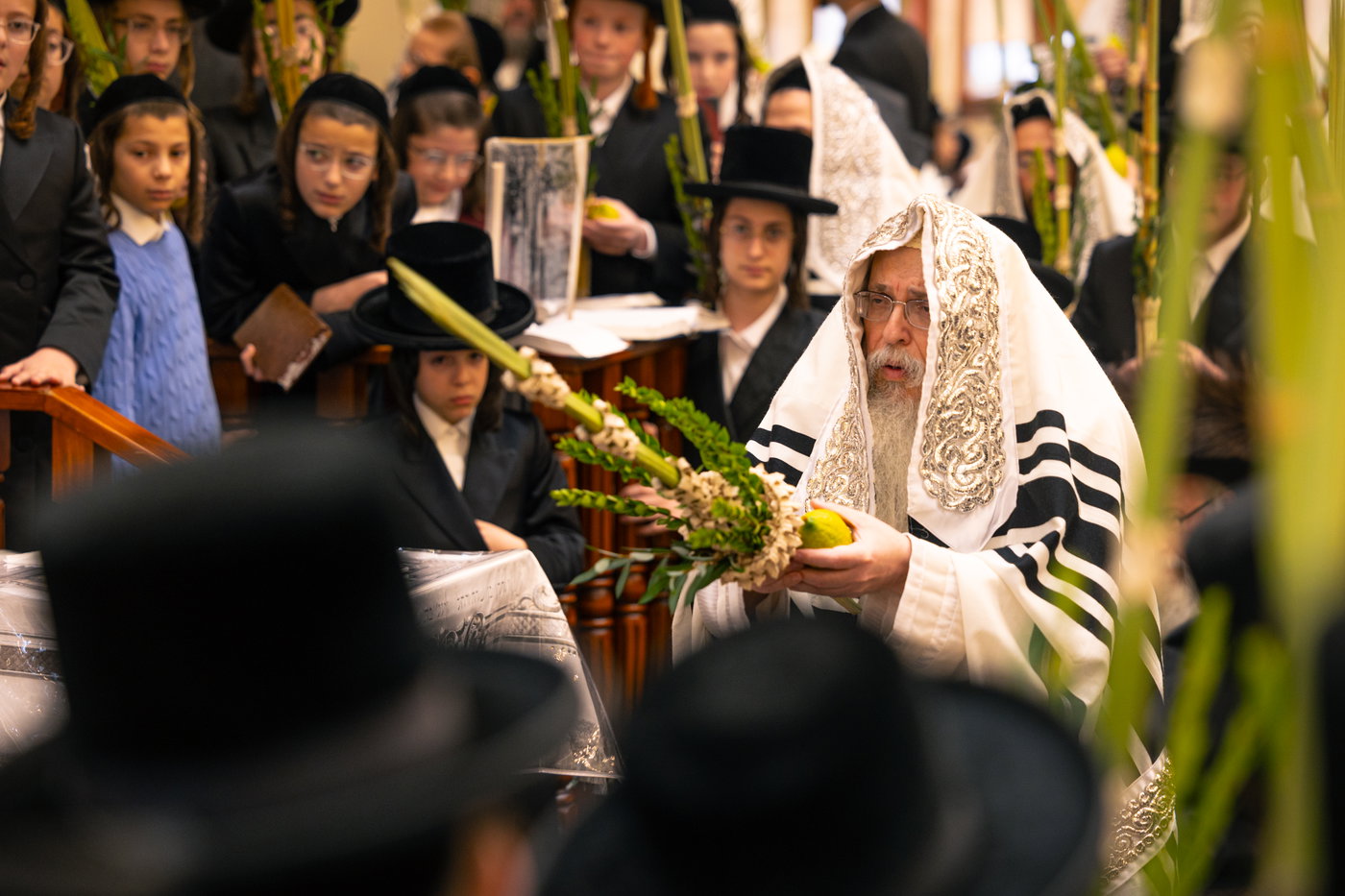 ירח האיתנים בחצה"ק טאהש