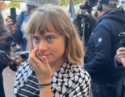 אורחת מפתיעה: גרטה מצטרפת לפרעות בצרפת - המגיש: "איך פלסטין קשורה?"