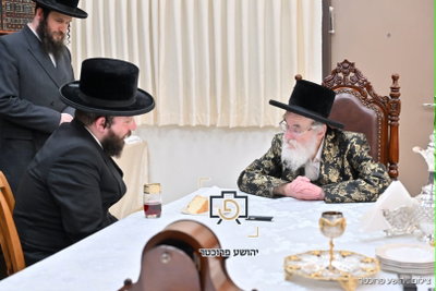 הפגישה אמש בין האדמו"ר לשטארק