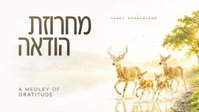 יענקי הוכהייזר משיק מחרוזת הודאה מרגשת - תודה על כל רגע ורגע