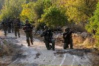 פעילות כוחות חטיבת 'ההרים' (810) במרחב הר דב