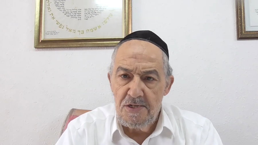 הרב מיכאל שושן עם הגיגים בעברית לפרשת נח