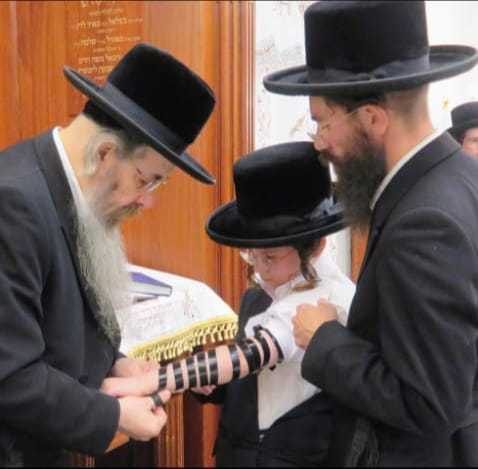 שמחת בר המצווה בחצרות טריסק - סאווראן