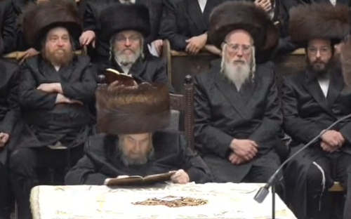 ההכרזה בחסידות בעלזא: "להרבות פעלים להצלחת יהדות התורה" | צפו