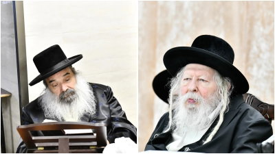 האדמו"רים מגור וזידטשוב