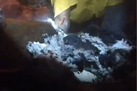 לעיני המצלמות: שכן אמיץ חילץ ילד בן 4 מבית בוער בידיים חשופות