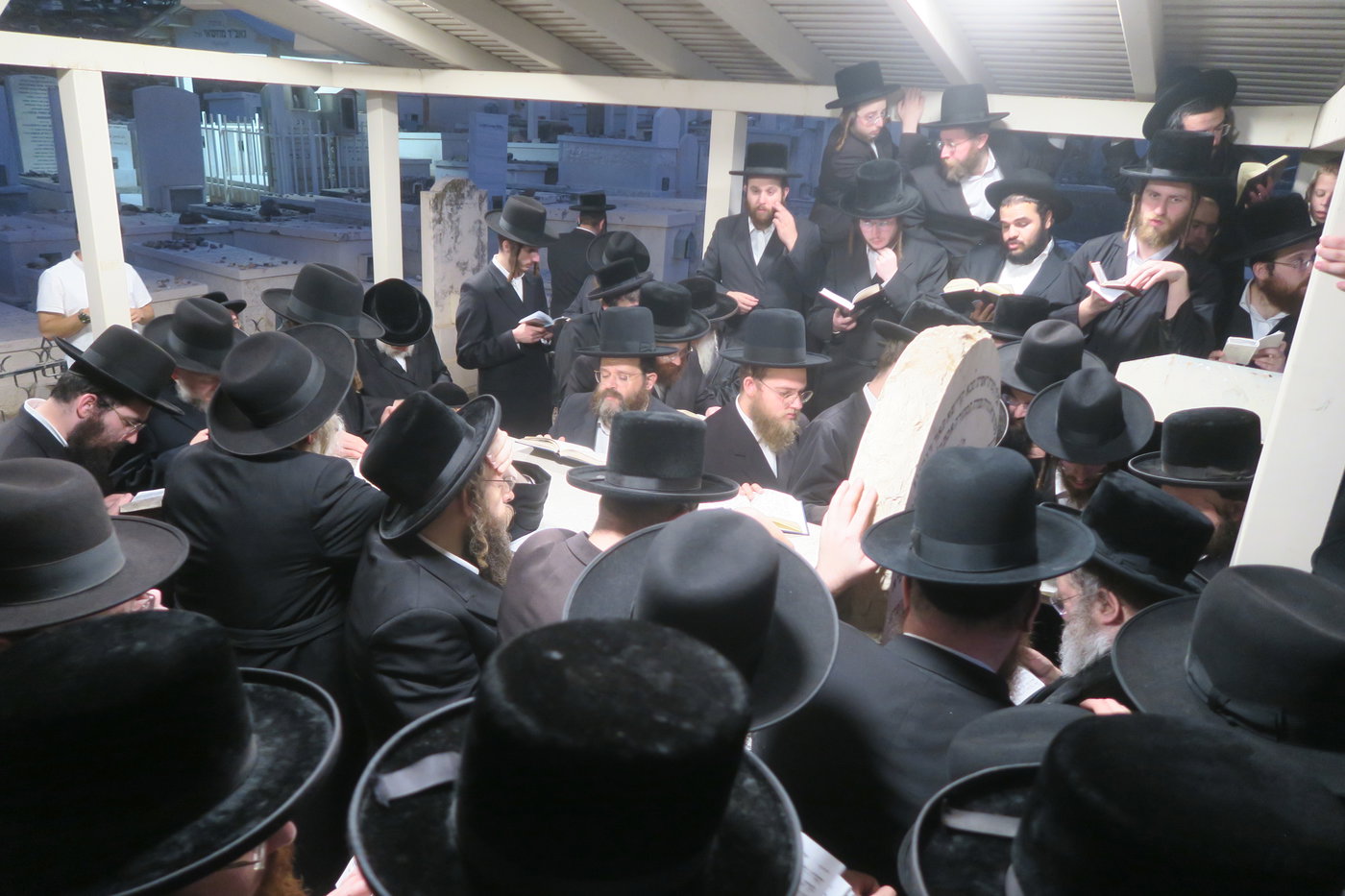 האדמו"ר מסטוטשין בעיה"ק טבריה