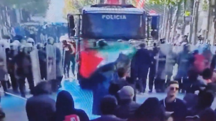 "כאן זה לא פריז": מניף גדל פלסטין הושפל קשות במחאה המונית