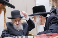 הגר"ד לנדו בביקור אצל האדמו"ר מסטריקוב