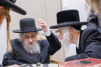 הגר"ד לנדו בביקור אצל האדמו"ר מסטריקוב