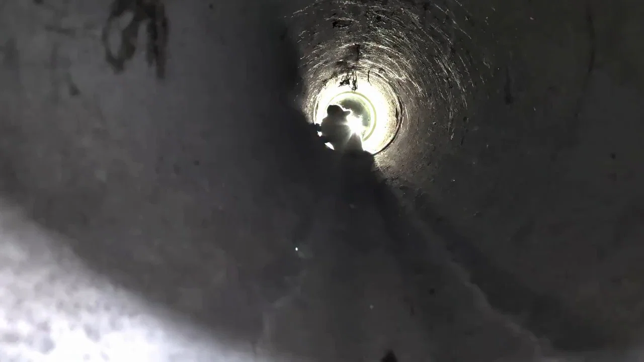פתרון יצירתי: רכב על שלט סייע בחילוצו של חתול מפוחד | צפו 