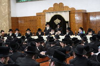 הילולא קדישא בטשעבין