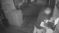 בודק אם יש כסף בקופה וגונב טאבלטים: כך נראו רגעי הפריצה למסעדה