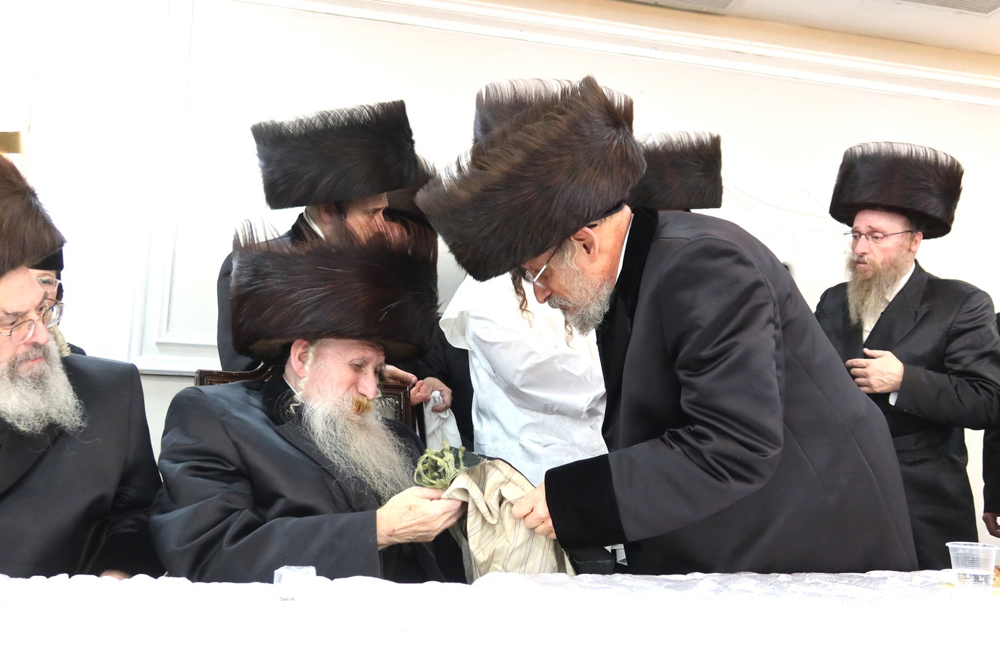 שמחת בית טשארנאביל - קאסאן הילקערסט - אנטניא