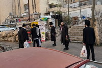 אברכים מתבוננים בקמפיין