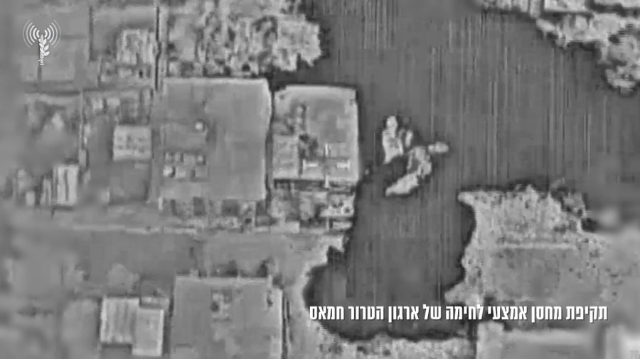 תיעוד החיסול