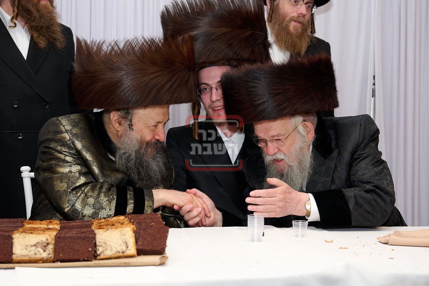 האדמו"ר מבאבוב 45 בביקור בלונדון