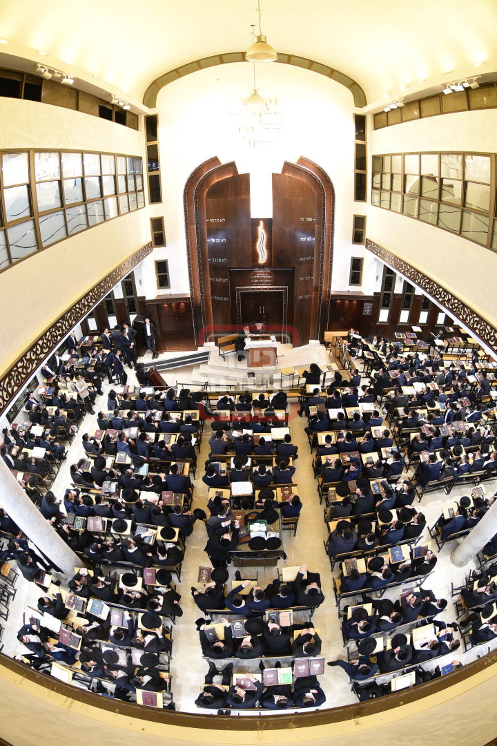 הגר"מ שטרנבוך ב'אור אלחנן'