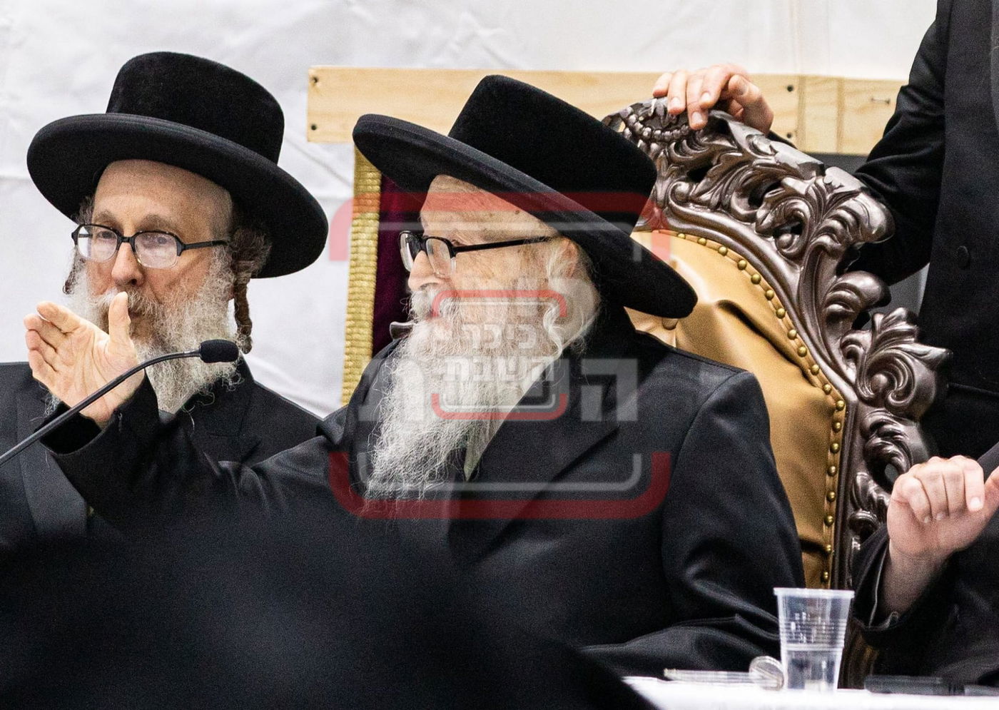 האדמו"ר מסערדאהעלי בקאנטרי