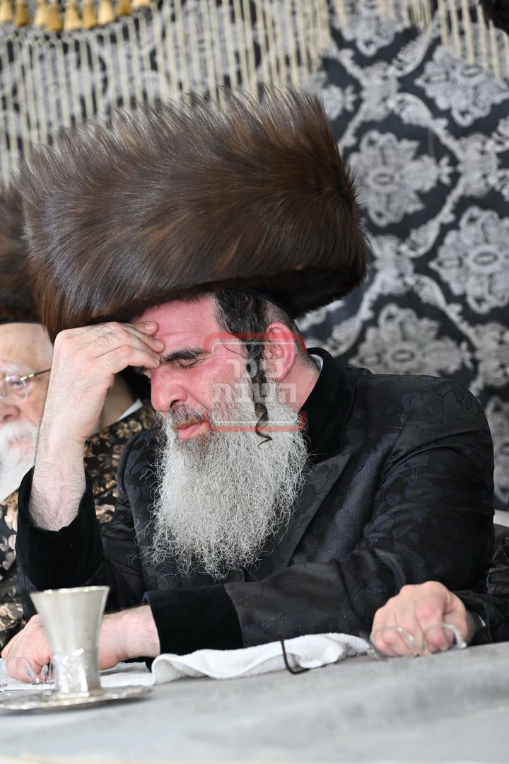 שמחת בית נדבורנה - דברי משה 