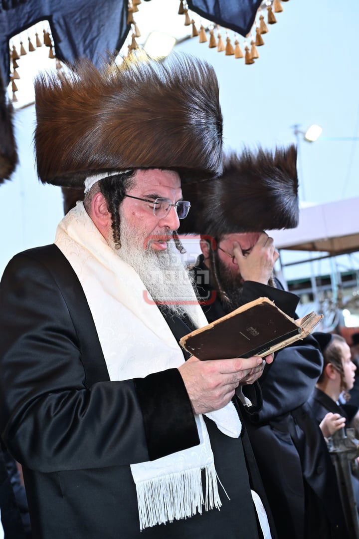 שמחת בית נדבורנה - דברי משה 