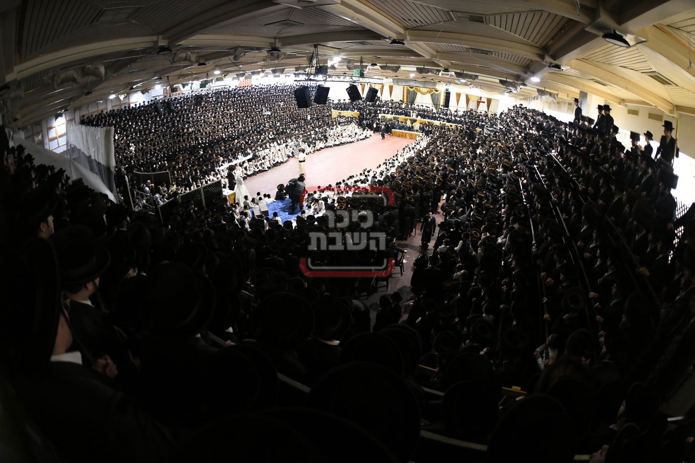 שמחת בית צאנז