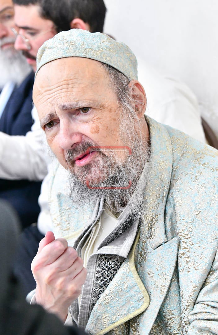 הגאון רבי דב קוק