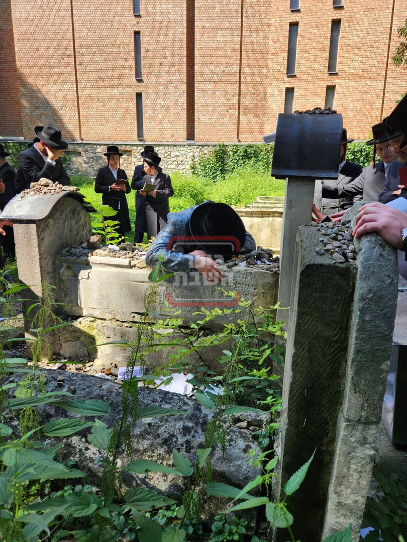 האדמו"ר ממעזבוז במסע הקודש על קברי צדיקים
