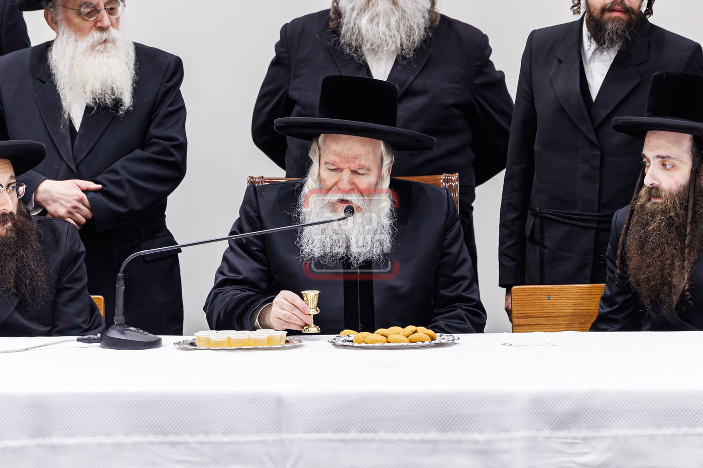 הילולא קדישא בבאבוב