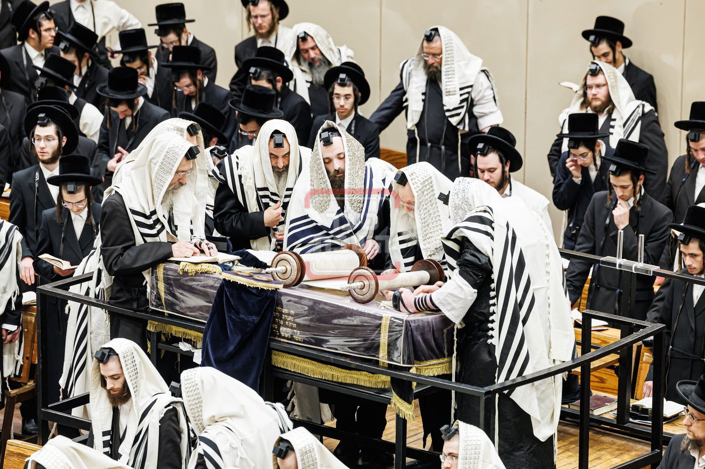 הילולא קדישא בבאבוב