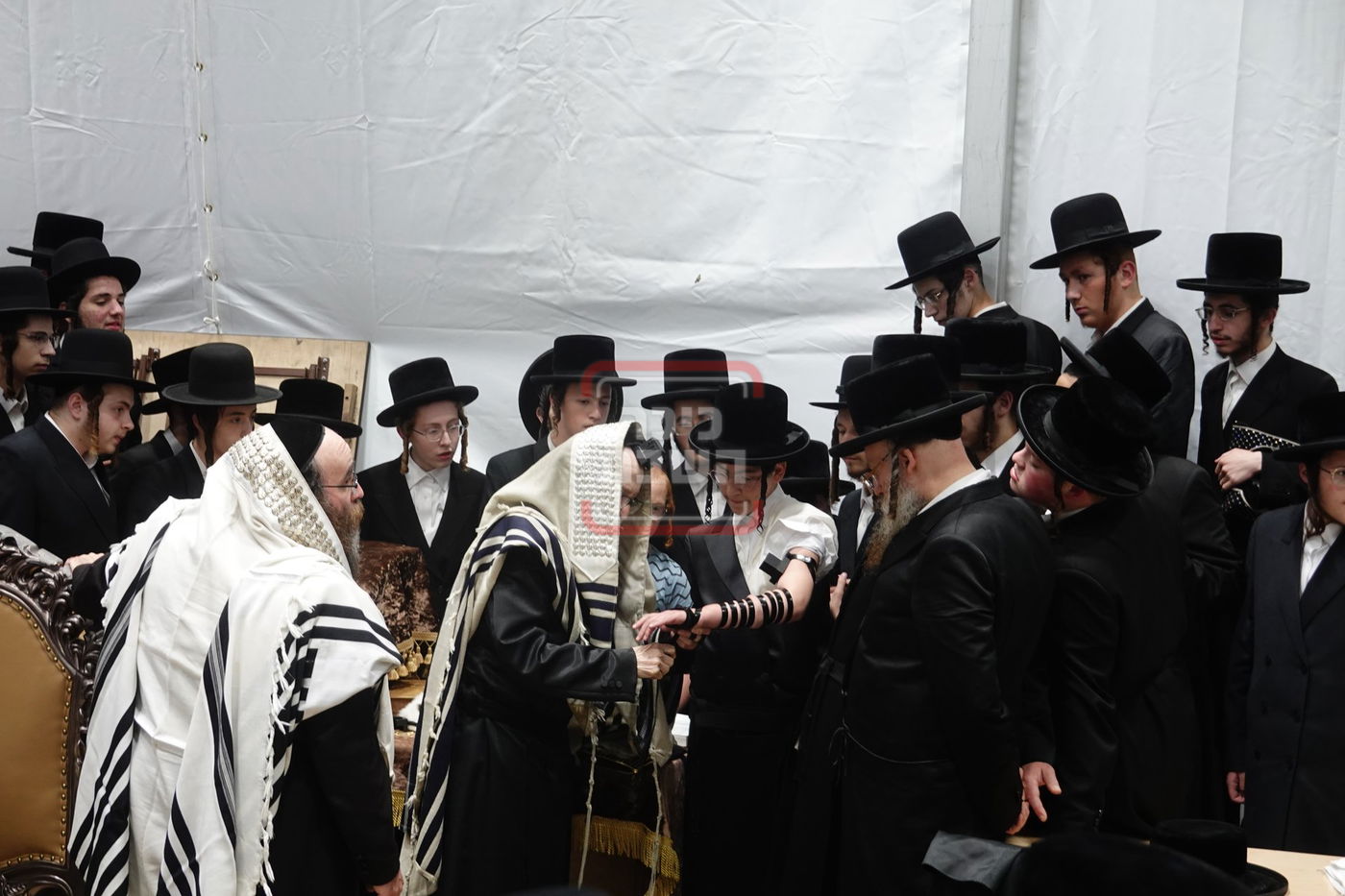 מעמד הנחת תפילין לנכד האדמו"ר מסערדאהעלי בקאנטרי