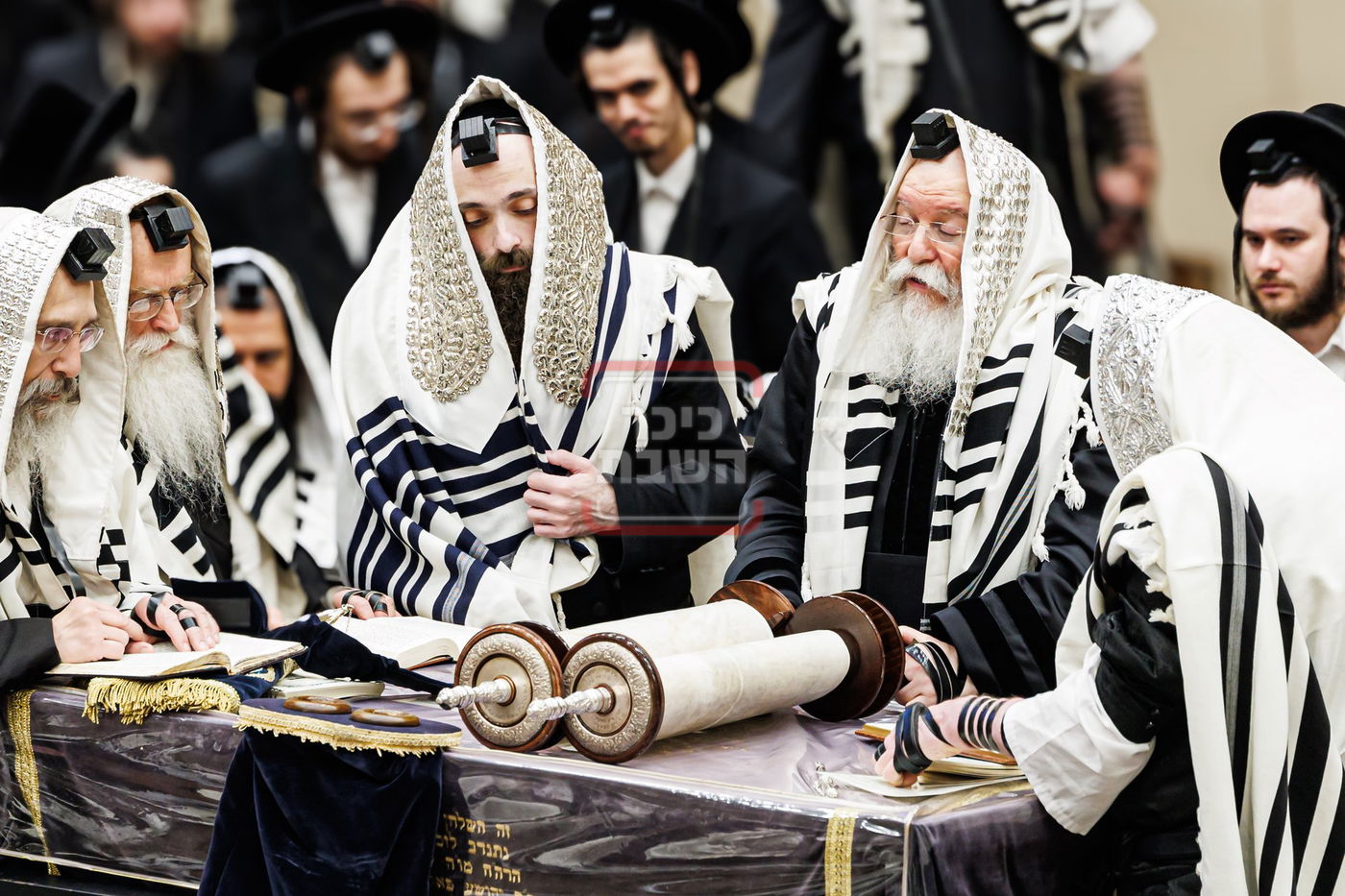 הילולא קדישא בבאבוב