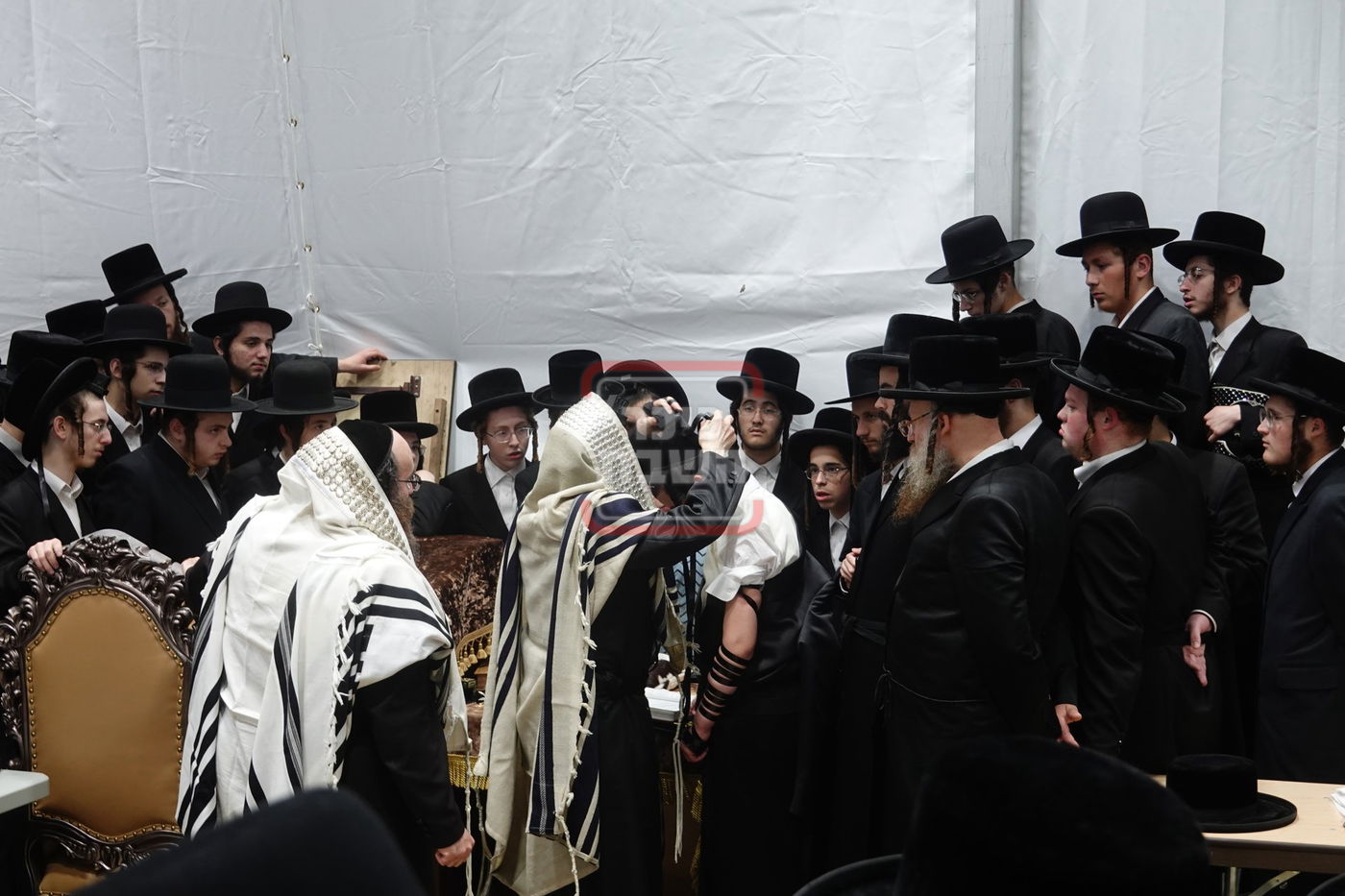 מעמד הנחת תפילין לנכד האדמו"ר מסערדאהעלי בקאנטרי