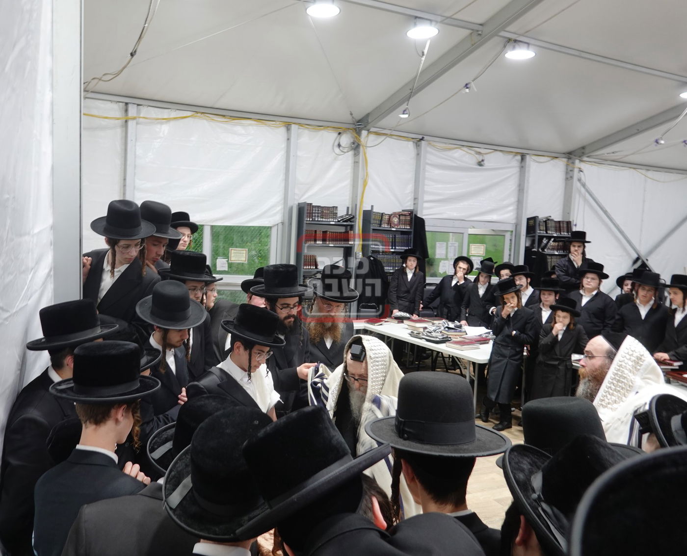 מעמד הנחת תפילין לנכד האדמו"ר מסערדאהעלי בקאנטרי