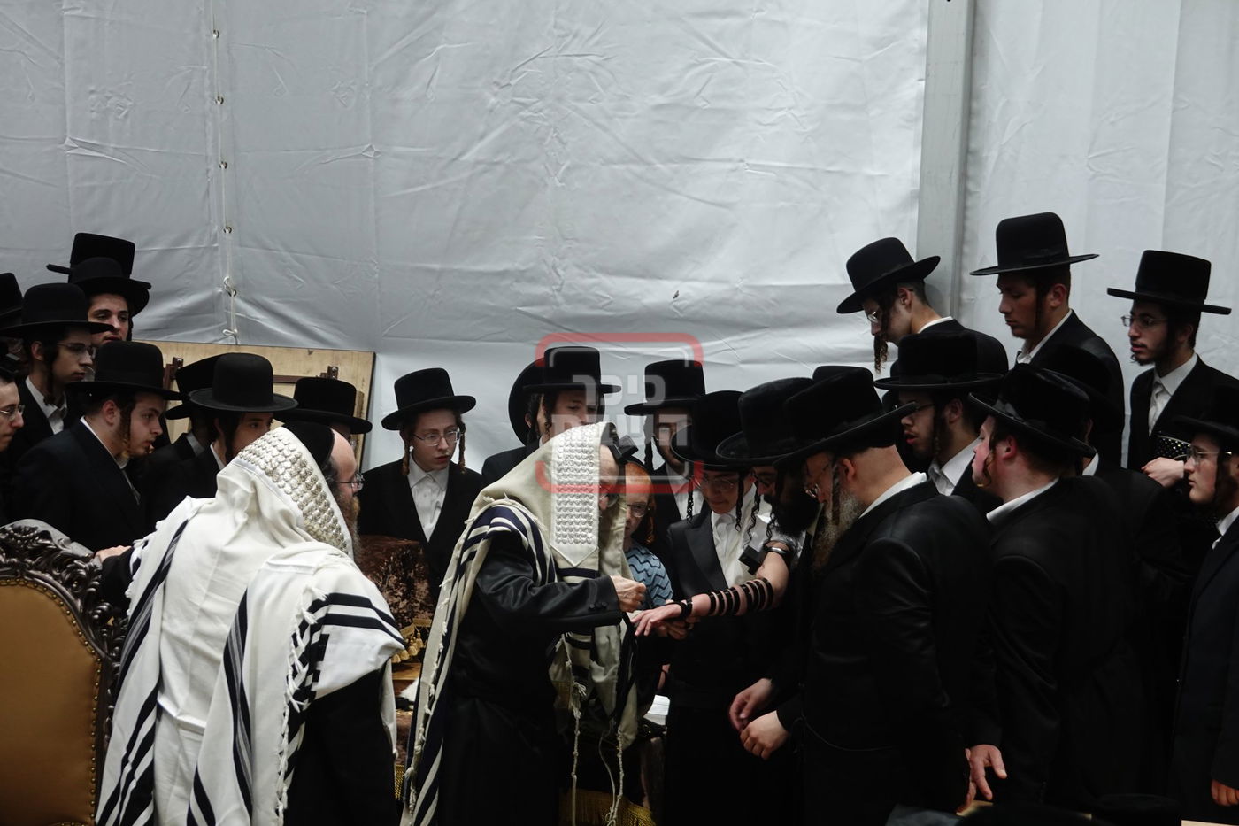 מעמד הנחת תפילין לנכד האדמו"ר מסערדאהעלי בקאנטרי