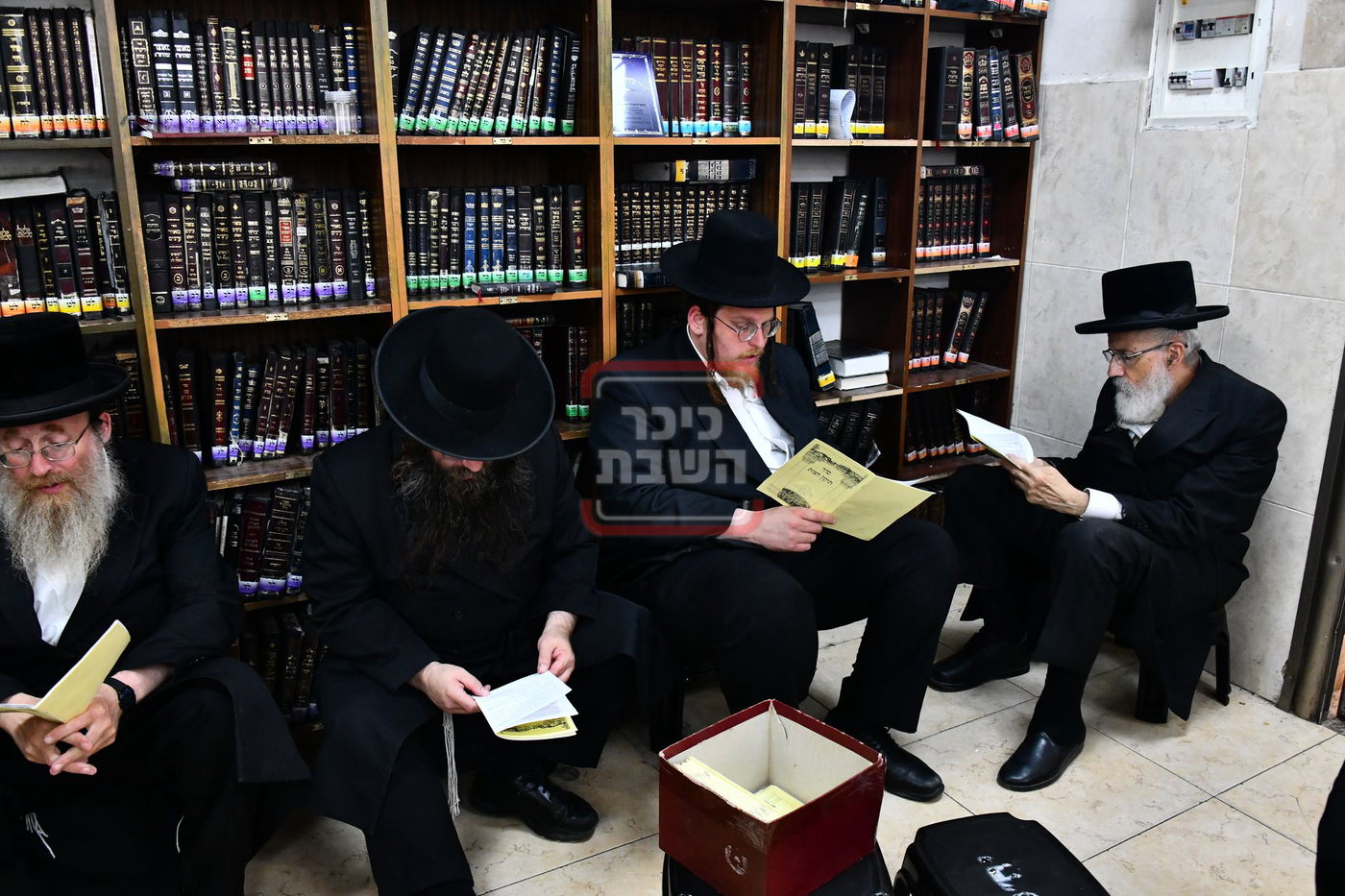 האדמו"ר משבט הלוי בתיקון חצות