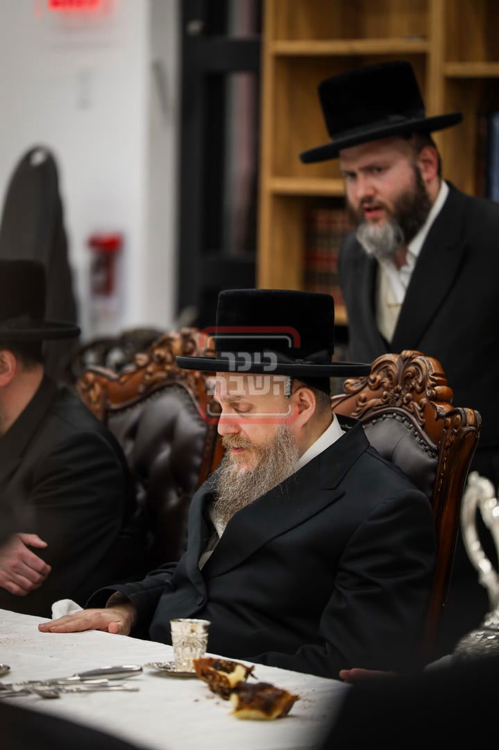 הילולא קדישא בסקווירא מאנסי