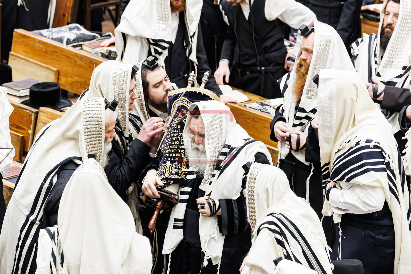 הילולא קדישא בבאבוב