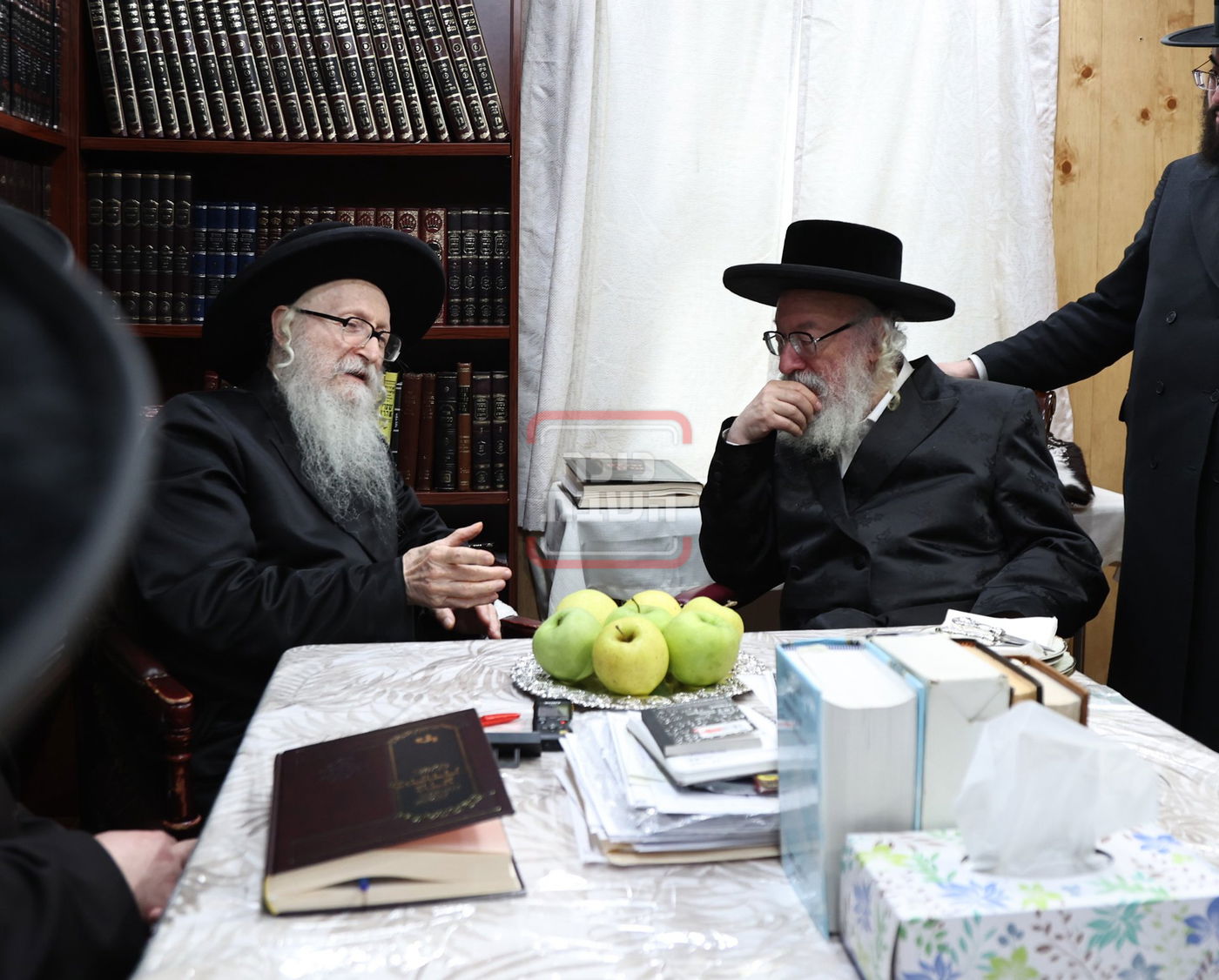 גאב"ד וויען בביקור אצל אחיו האדמו"ר מסערדאהעלי בקאנטרי