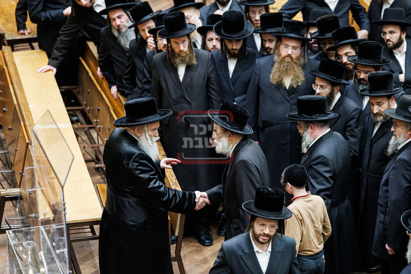 הילולא קדישא בבאבוב