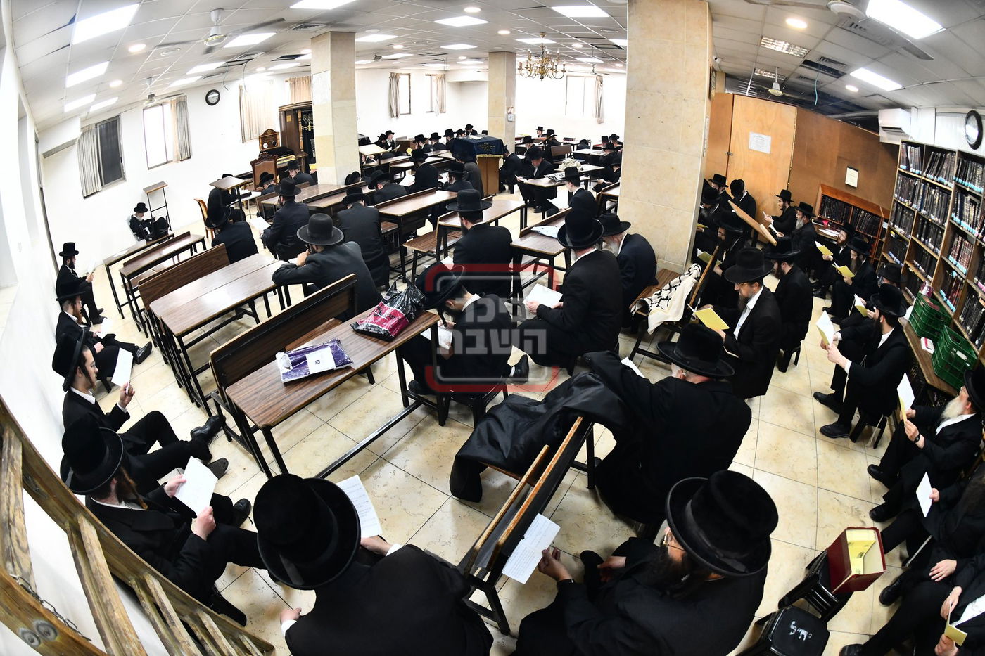 האדמו"ר משבט הלוי בתיקון חצות